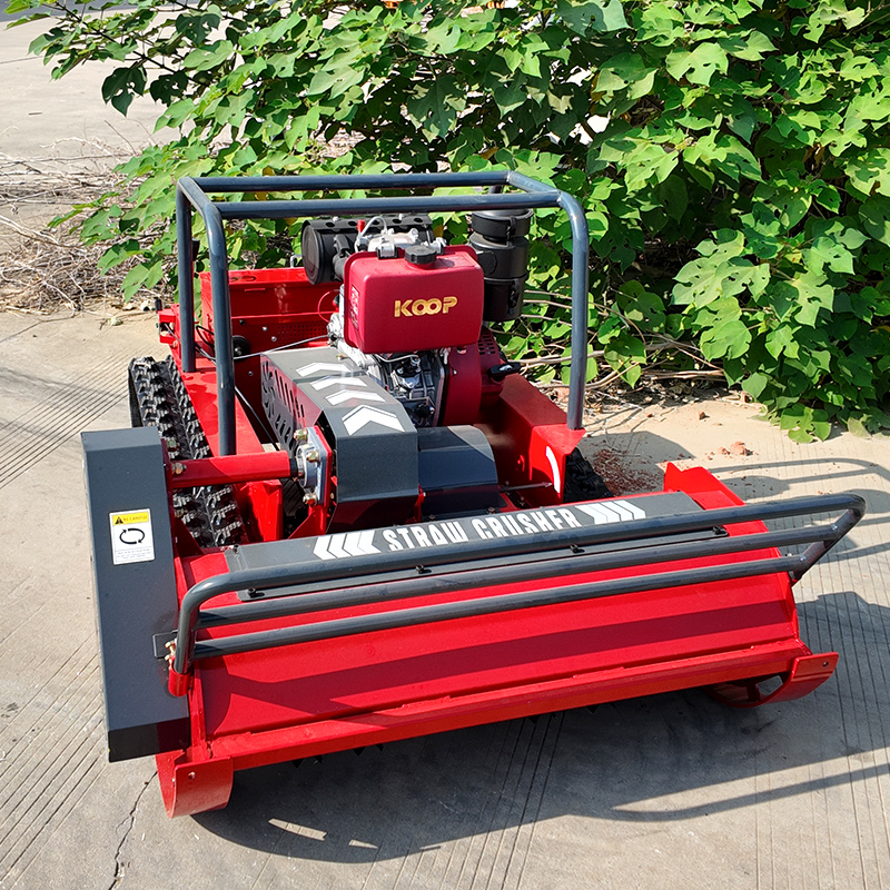 Customized CE EPA Certified Li - Lawn Mower Battery 评论和价格