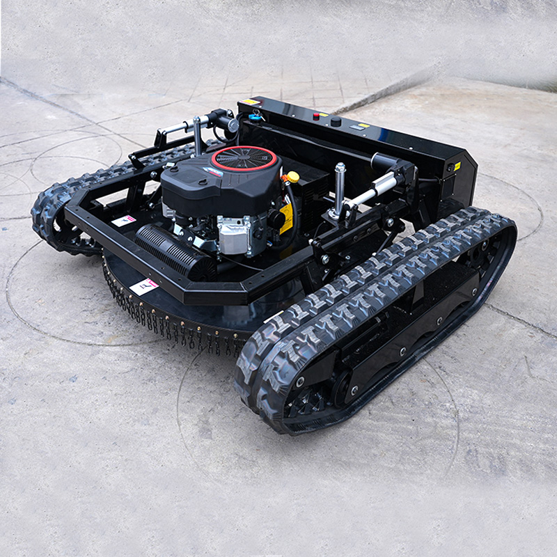 2 in 1 SAAO Remote Control Law - Hedge Trimmer Cordless 评论和价格