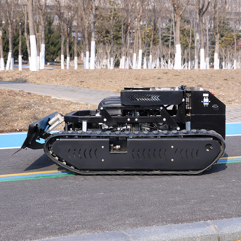 Customized Tracked Remote Cont - Hedge Trimmer Cordless 评论和价格